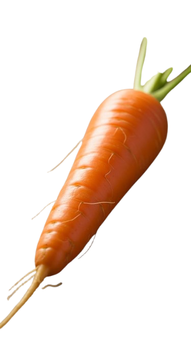 Carrot