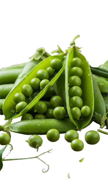 Green Peas